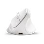 Voir la diapositive 4 : BLUESTORK Souris Ergonomique Sans Fil - BLUESTORK - ERGO - Lumineuse - PC/MAC - Noir