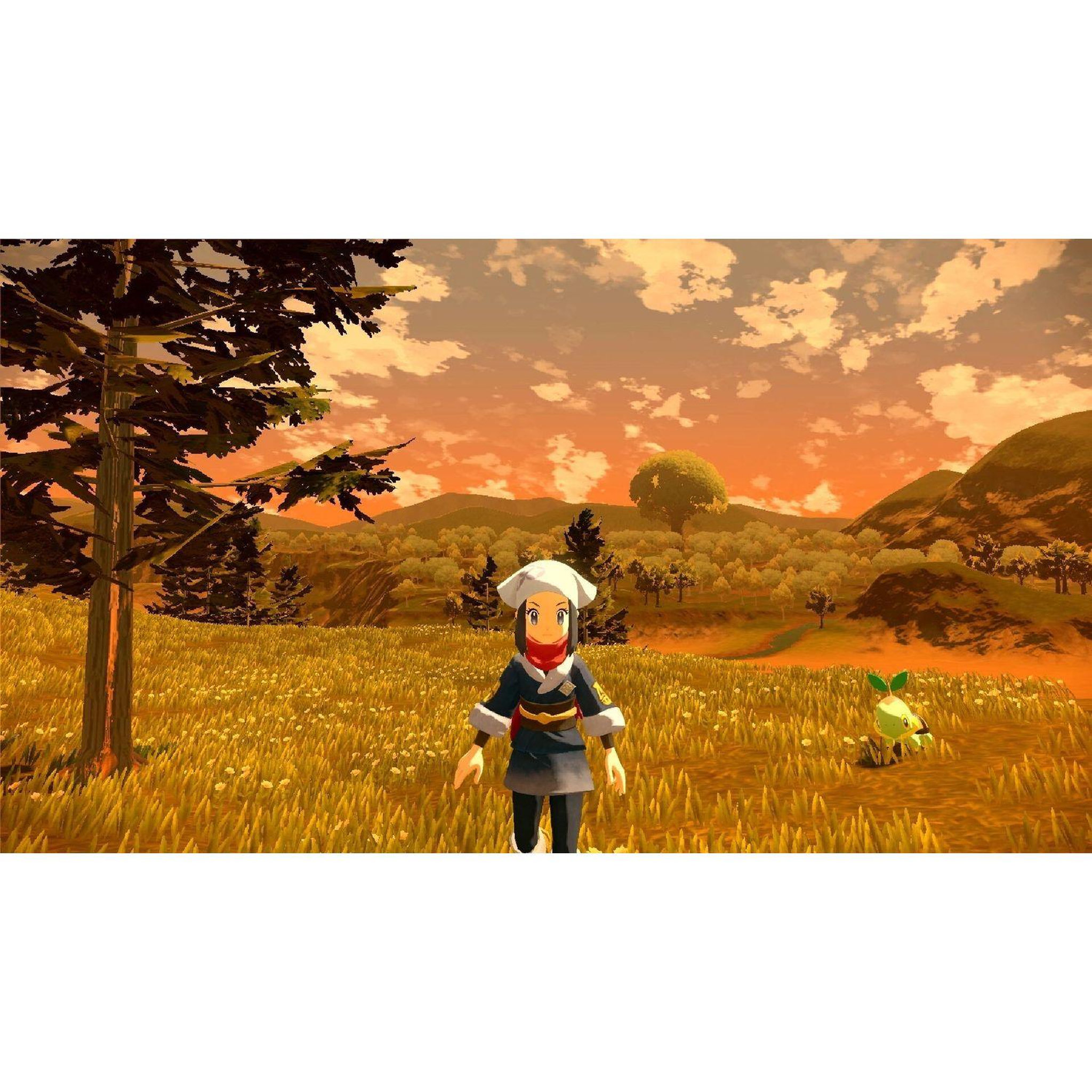 Voir la diapositive 6 : NINTENDO Légendes Pokémon : Arceus Nintendo Switch
