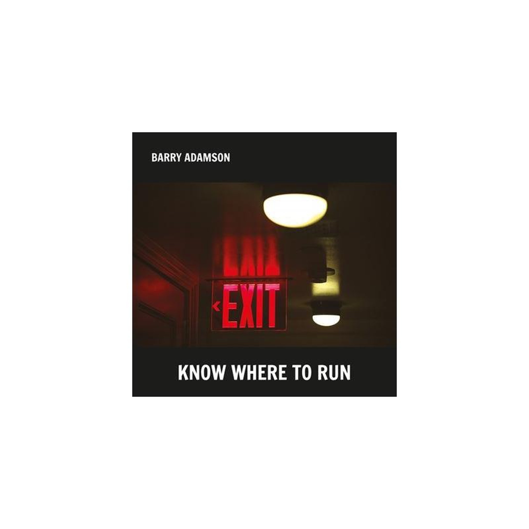 Vinyle argent 33t 30 cm know where to run barry adamson