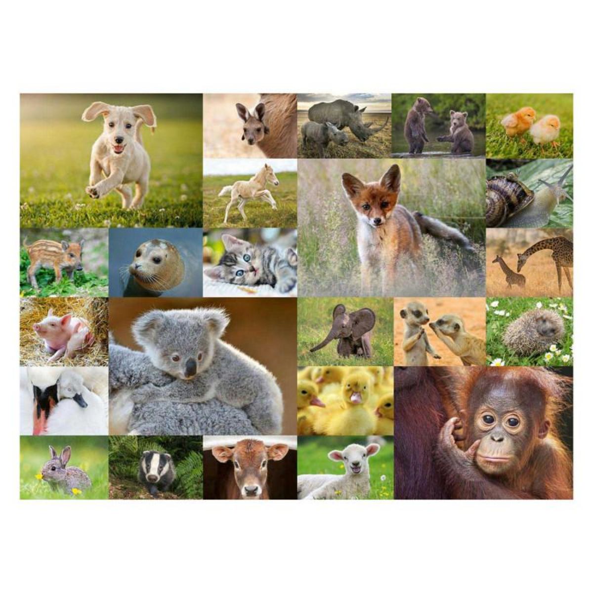 RAVENSBURGER Ravensburger Puzzle Cute Baby Animals, 200pcs. XXL 133536