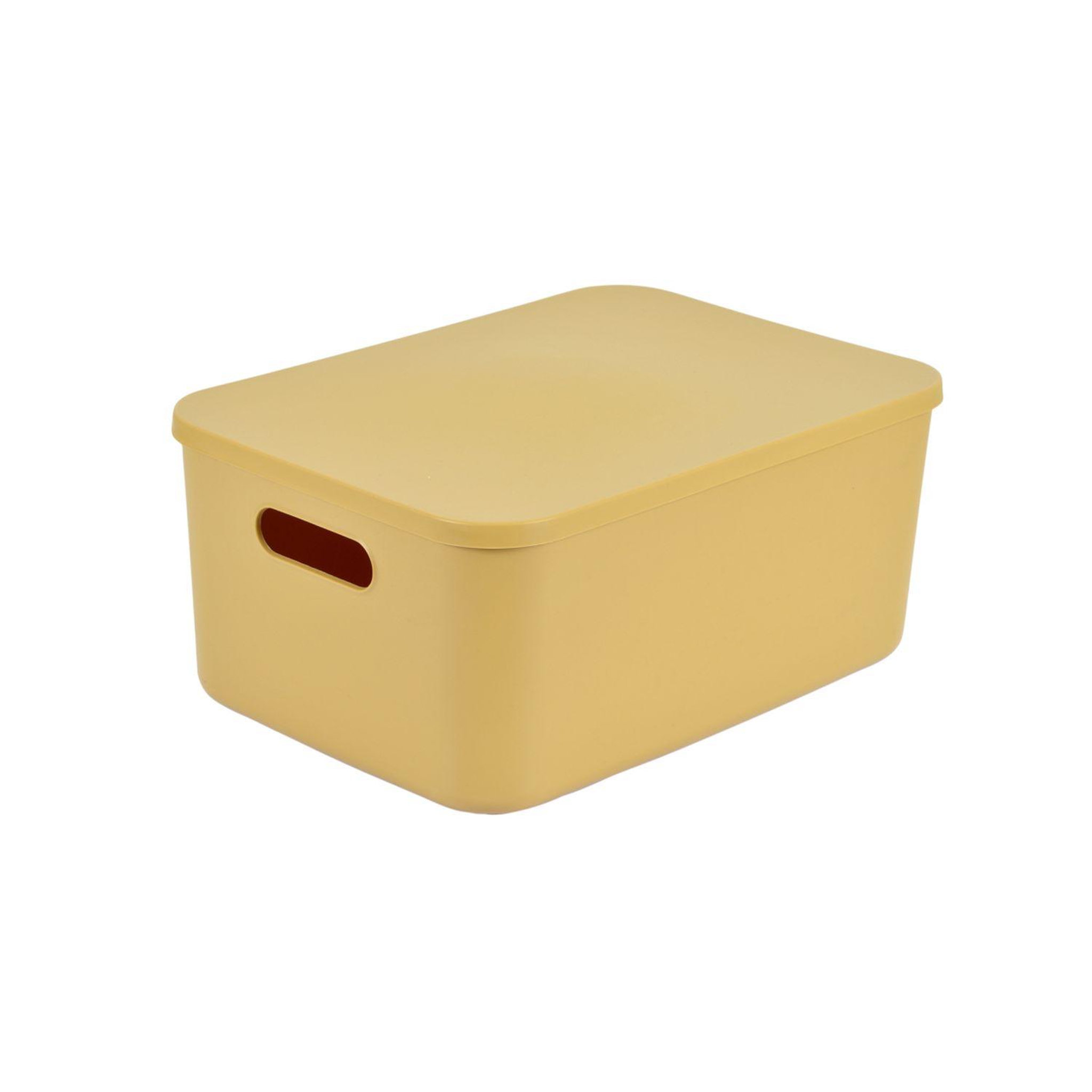 Voir la diapositive 1 : HOMEA Boite avec couvercle CHROMACASE