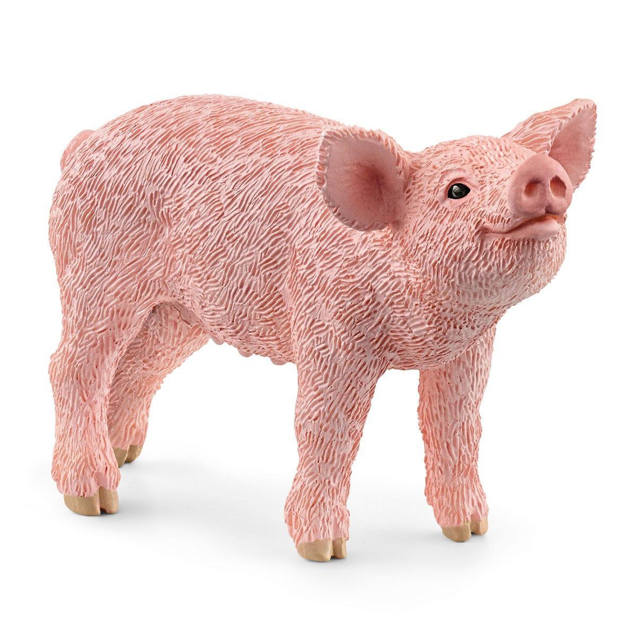 Voir la diapositive 2 : Schleich 13934 Figurine animale  Porcelet