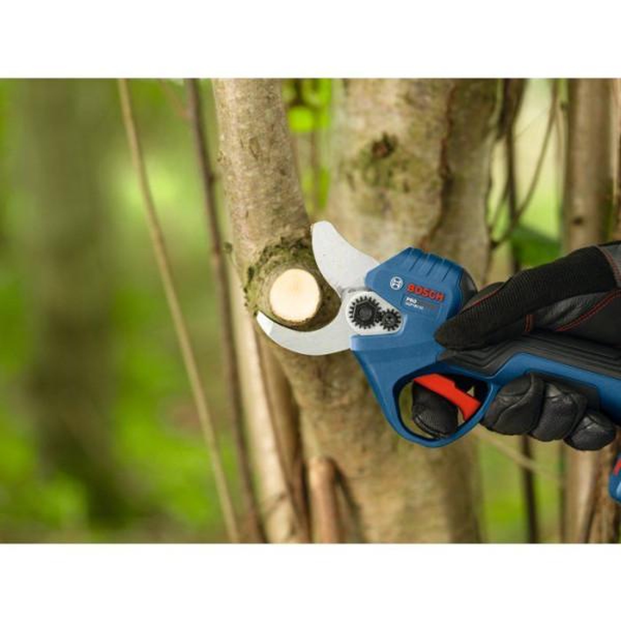 Voir la diapositive 2 : BOSCH Sécateur GGP 18V-32 solo