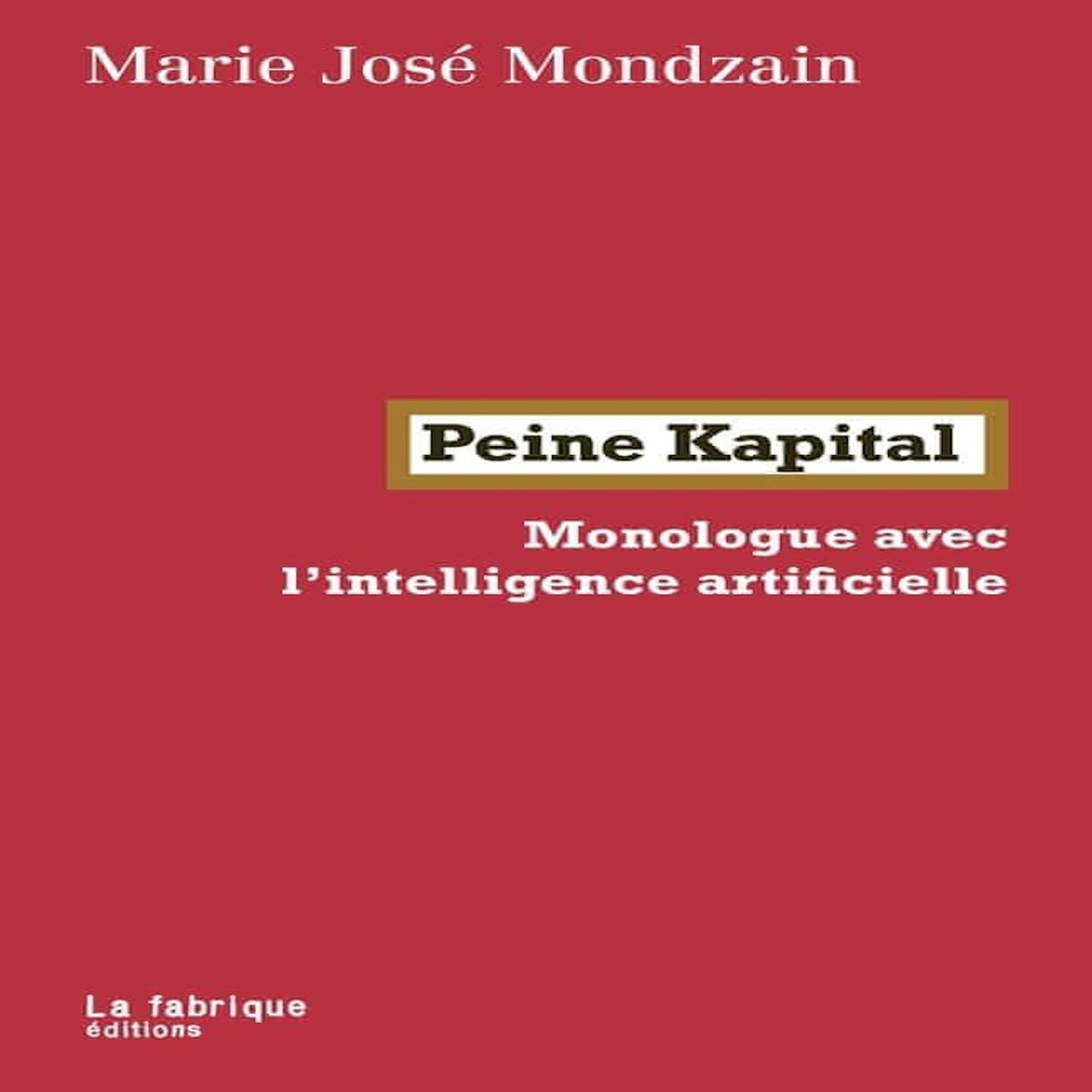 PEINE KAPITAL. MONOLOGUE AVEC L'INTELLIGENCE ARTIFICIELLE, Mondzain Marie-José