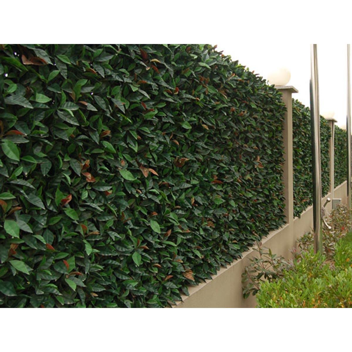 JARDIDECO Feuillage artificiel imitation Photinia 1 m² - Jardideco