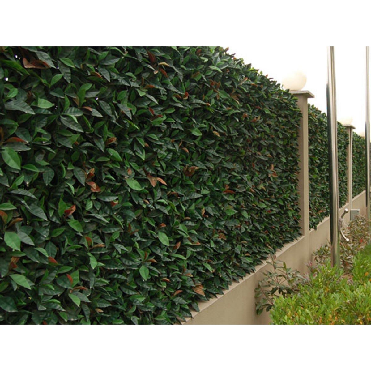 JARDIDECO Feuillage artificiel imitation Photinia 1 m² - Jardideco