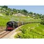 Smartbox Voyage à bord d'un train panoramique en Suisse avec dîner  - Première classe - Coffret Cadeau Multi-thèmes