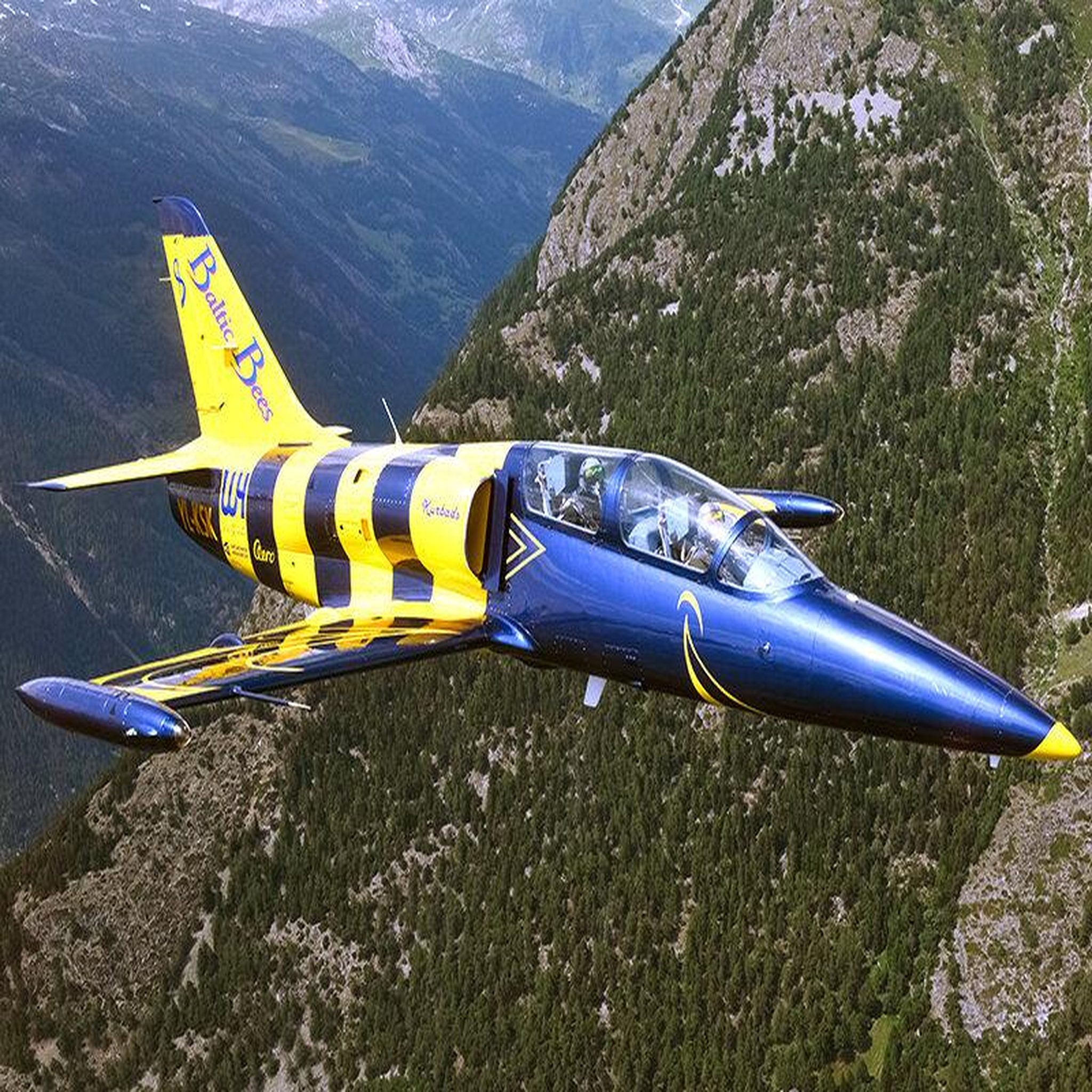 Voir la diapositive 3 : Smartbox Vol de 30 minutes sur avion de chasse L-39 Albatros au-dessus des Alpes suisses - Coffret Cadeau Sport & Aventure