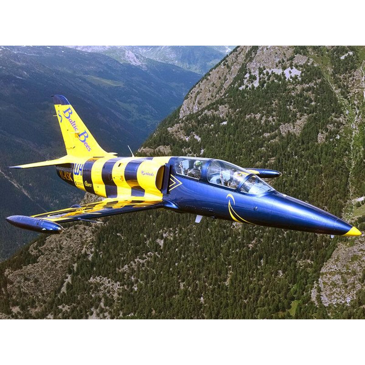 Smartbox Vol de 30 minutes sur avion de chasse L-39 Albatros au-dessus des Alpes suisses - Coffret Cadeau Sport & Aventure