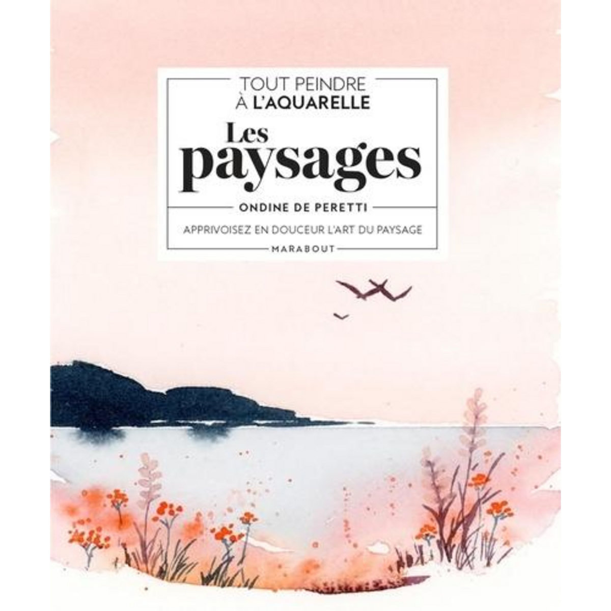 LES PAYSAGES. APPRIVOISEZ EN DOUCEUR L'ART DU PAYSAGE, Peretti Ondine de