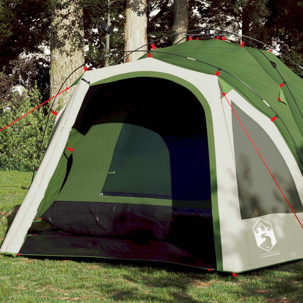 VIDAXL Tente de camping a dome 3 personnes vert liberation rapide
