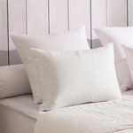DODO Oreiller 90% Duvet ECO-RESPONSABLE MEDIUM. Coloris disponibles : Blanc