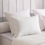 DODO Oreiller 90% Duvet ECO-RESPONSABLE MEDIUM. Coloris disponibles : Blanc