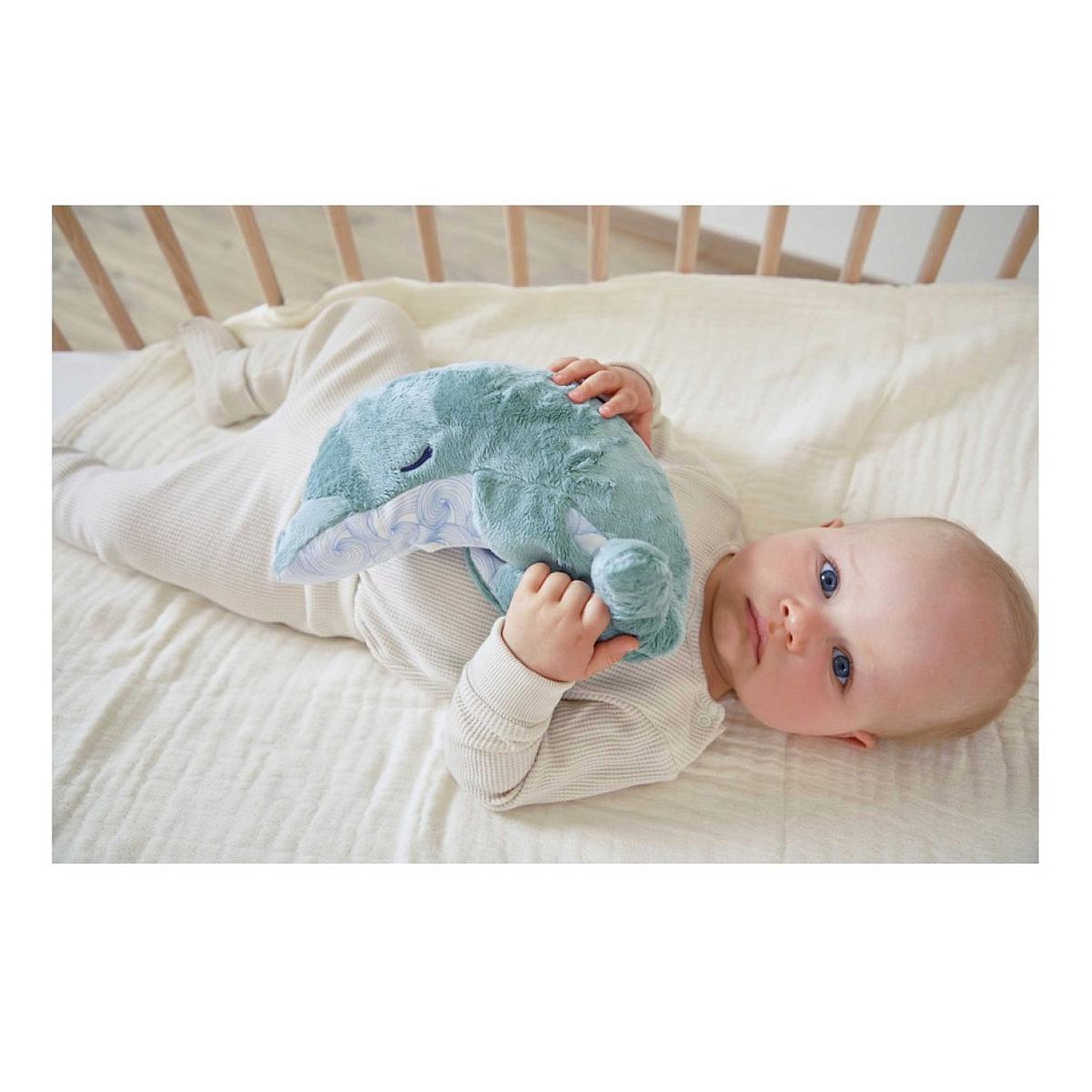 Voir la diapositive 4 : Kaloo Peluche bien etre Dauphin 24cm - Bouillote