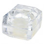 Voir la diapositive 2 : SC CRYSTAL Rose éternelle blanche