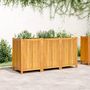 Voir la diapositive 3 : VIDAXL Jardiniere avec doublure 150x50x75 cm bois massif d'acacia