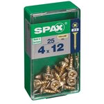 CENTRALE BRICO Lot de 25 vis acier tête cylindrique bombée pozidriv SPAX, Diam.4 mm x L.12 mm