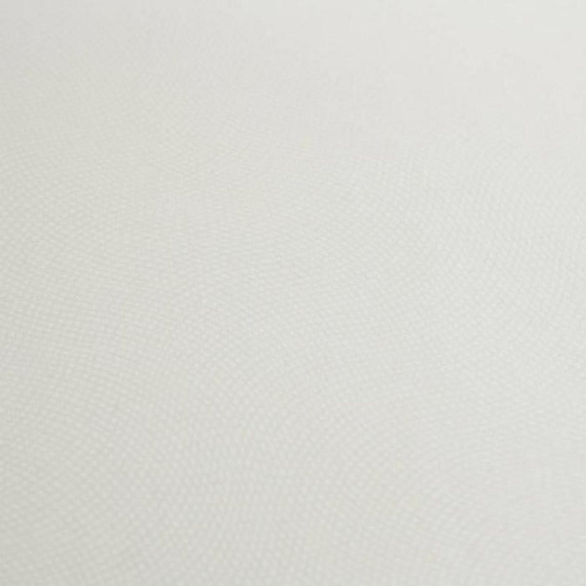 ATMOSPHERA Galette de Chaise Uni  Lilou  38x38cm Ivoire