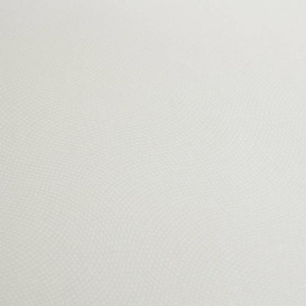 ATMOSPHERA Galette de Chaise Uni  Lilou  38x38cm Ivoire