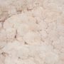 Voir la diapositive 3 : ATMOSPHERA Edredon Imitation Fourrure  Adriel  80x180cm Beige