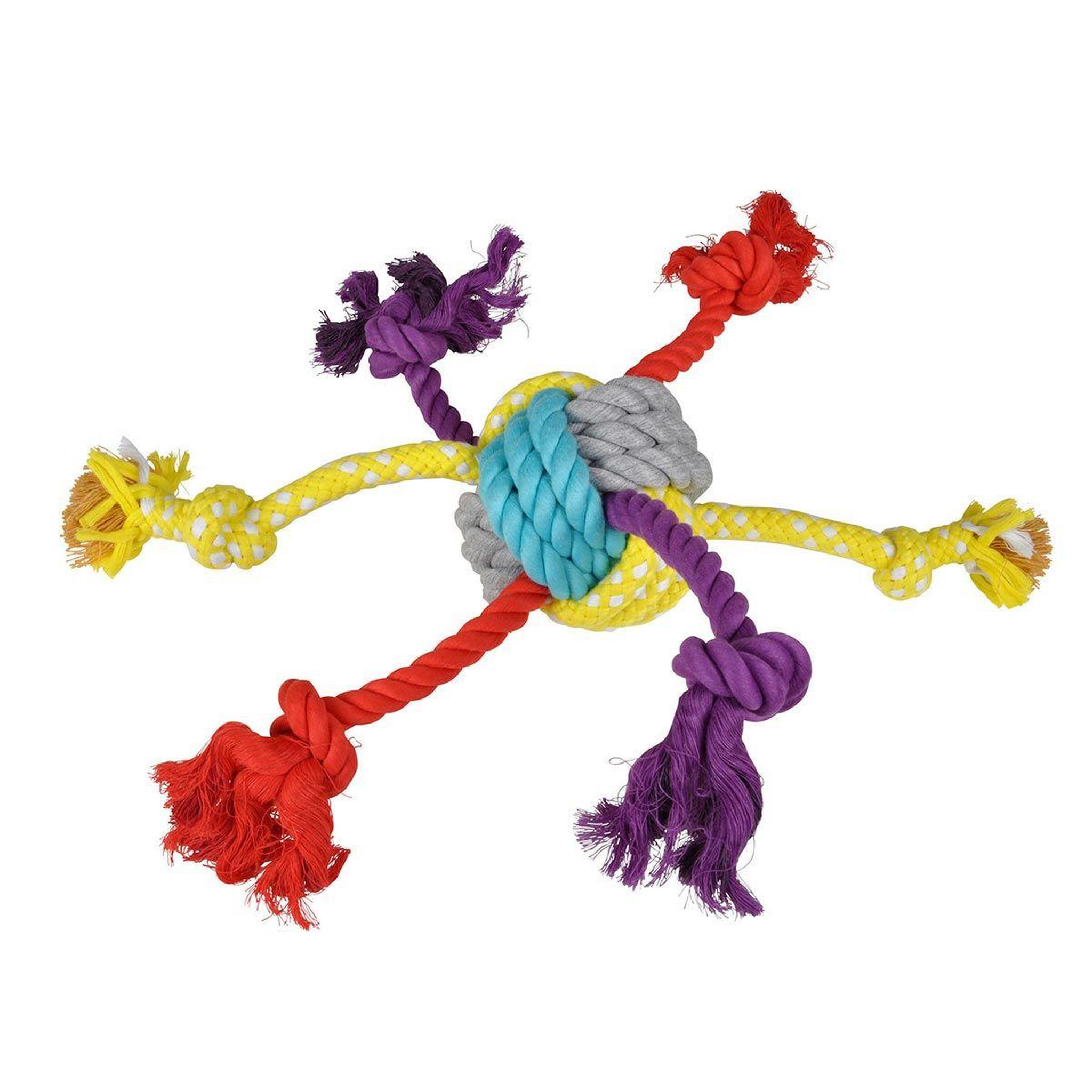 HOMEA Jouet pour Chien  Corde & 6 Nœuds  56cm Multicolore