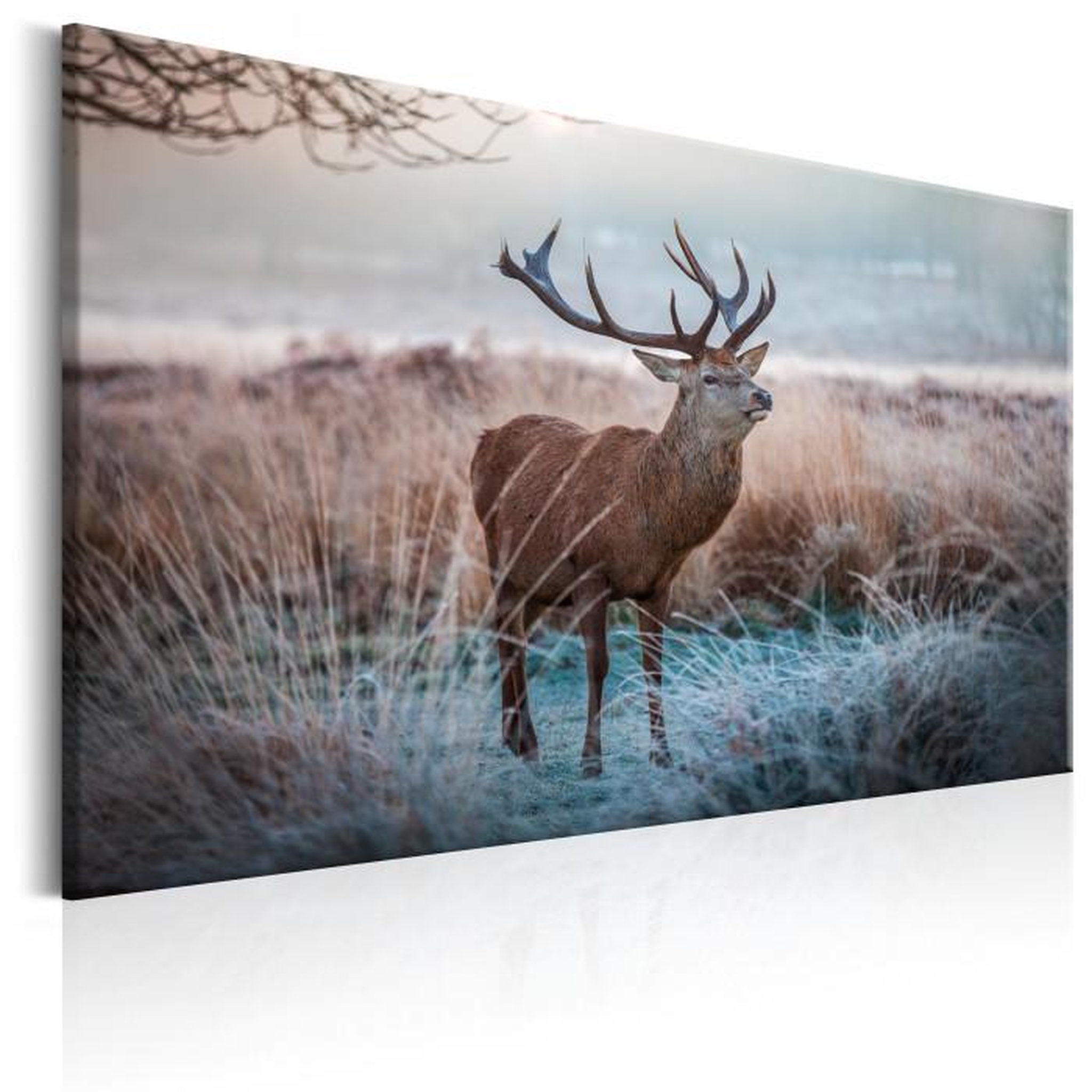 Paris Prix Tableau Imprimé  Wild Animal. Coloris disponibles : Multicolore