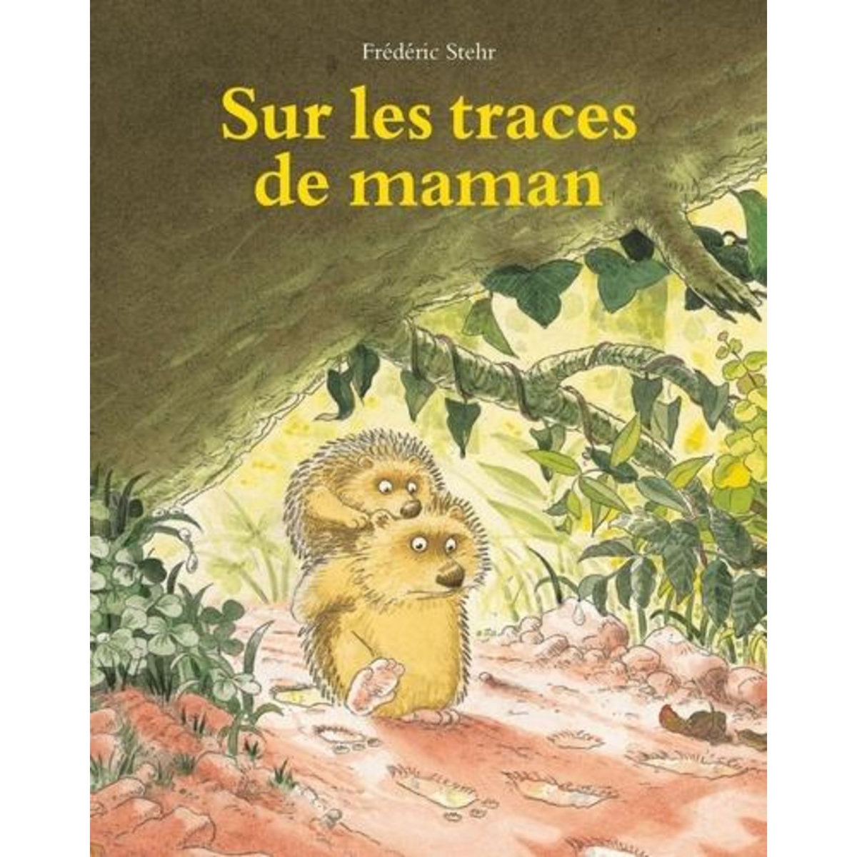 SUR LES TRACES DE MAMAN, Stehr Frédéric