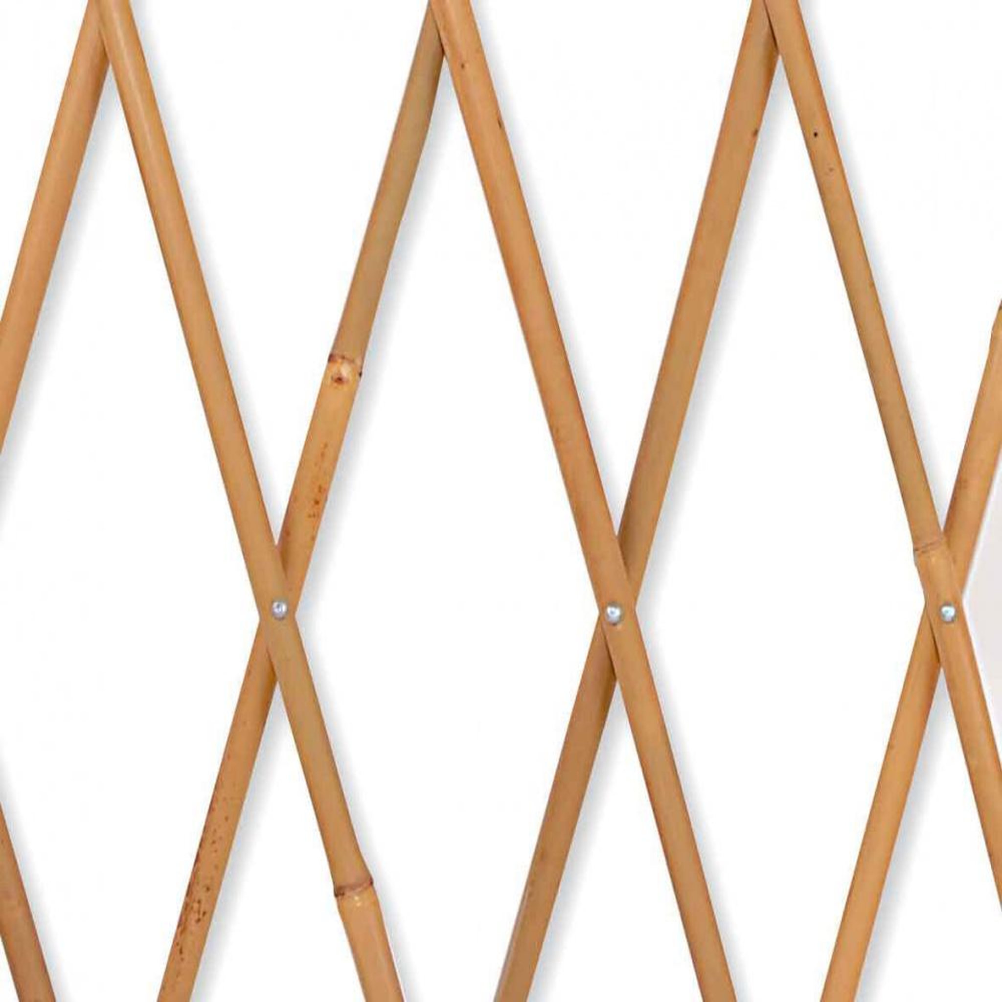 Jany Treillage extensible droit en bois jany tradition, l.200 x h.100 x p.3 cm