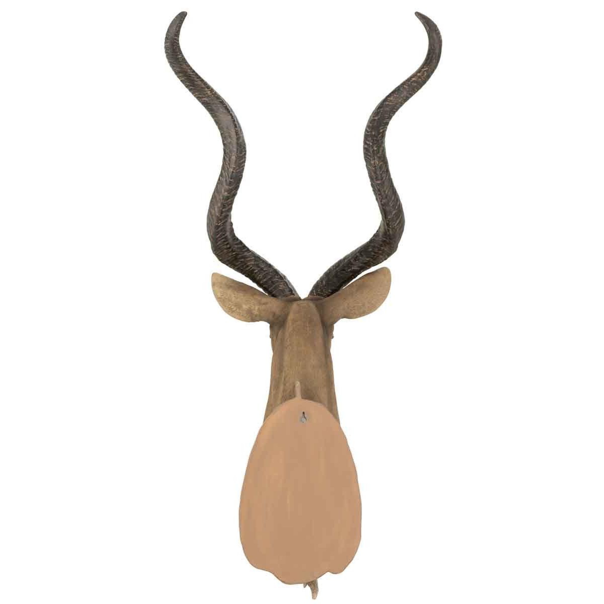 Voir la diapositive 3 : J-LINE Trophée mural  tête d'antilope  85cm marron