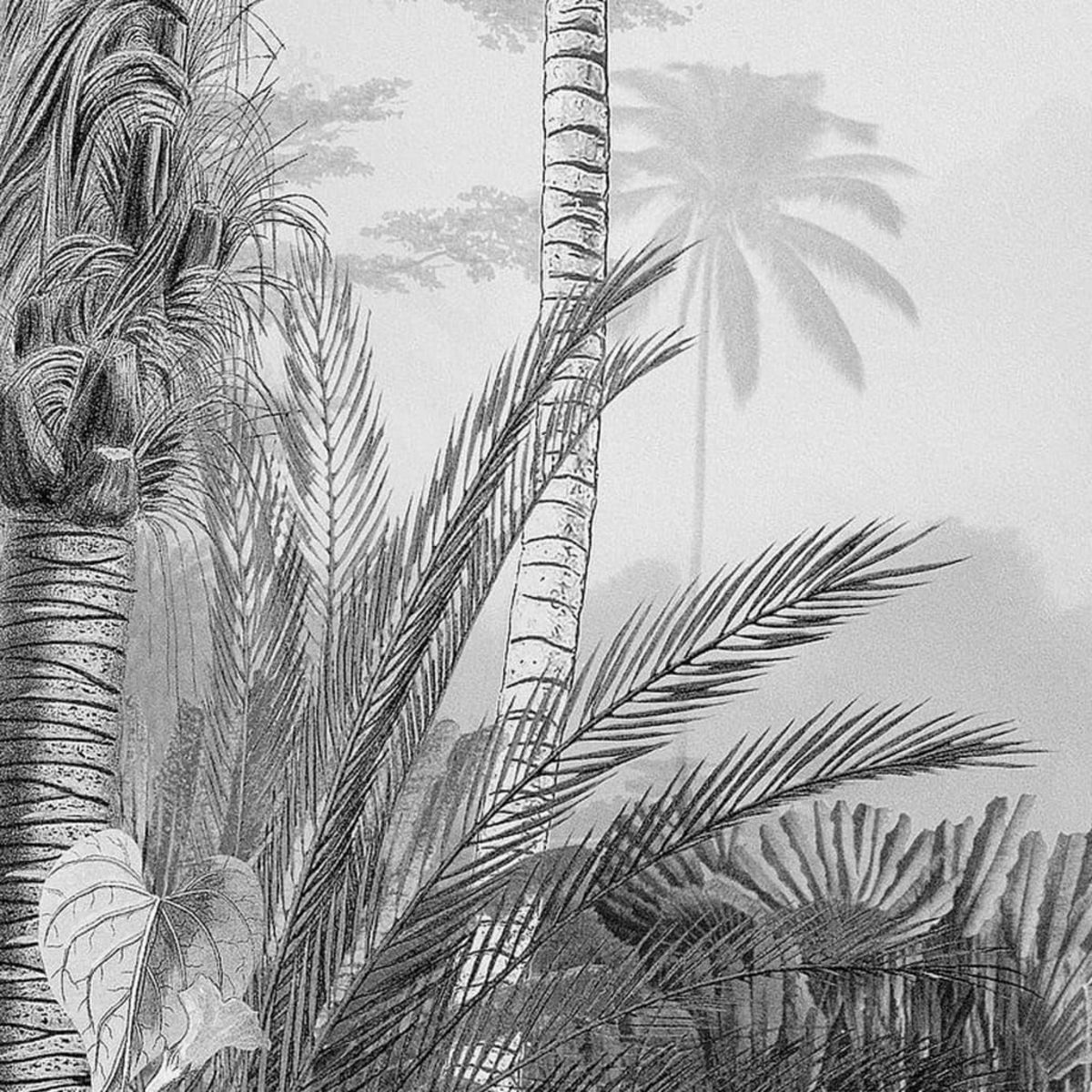 Komar Komar Papier peint photo Lac Tropical Black & White 200x270 cm