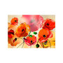 Voir la diapositive 2 : Paris Prix Papier Peint  Velvet Poppies