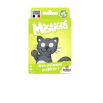 Cartamundi JEU DUCALE MISTIGRI CARTAMUNDI BRE10036685