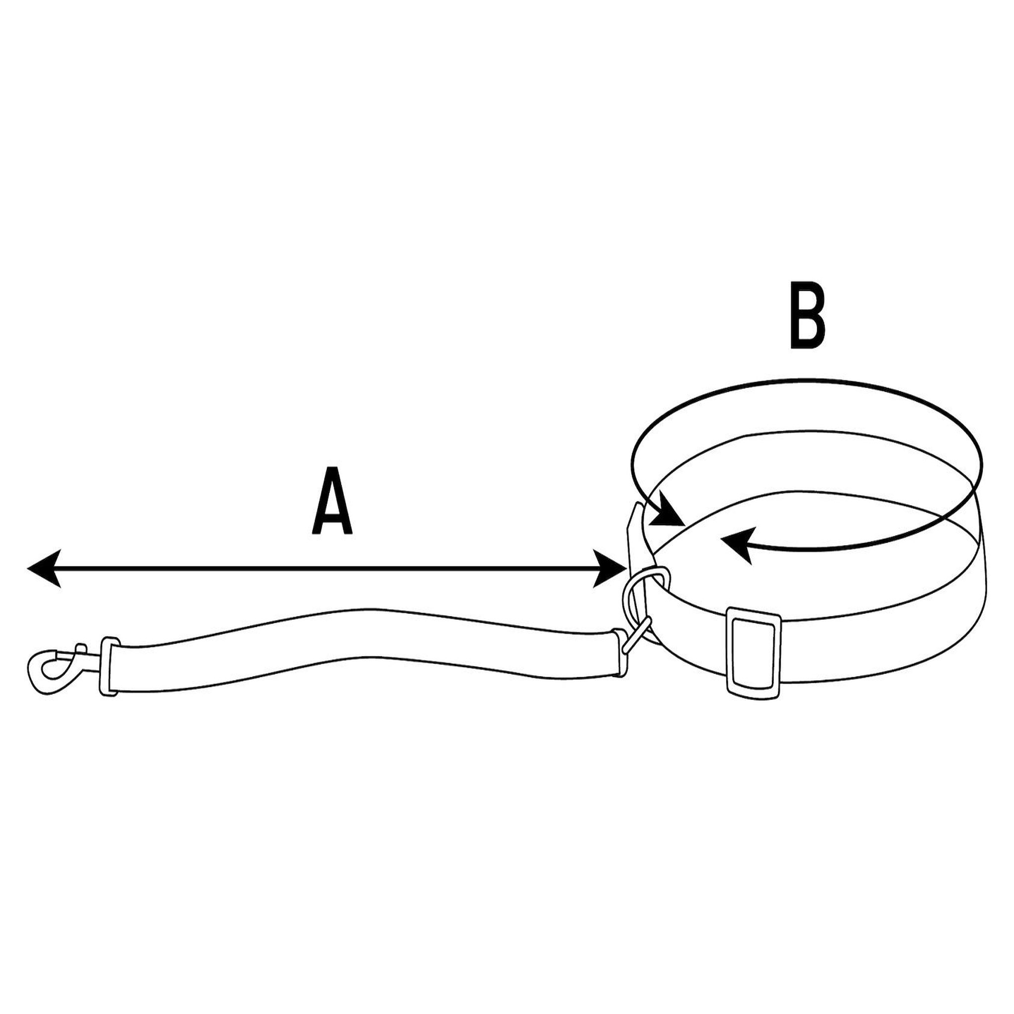 Voir la diapositive 6 : Eden Laisse de jogging pour chien avec ceinture ventrale bleu