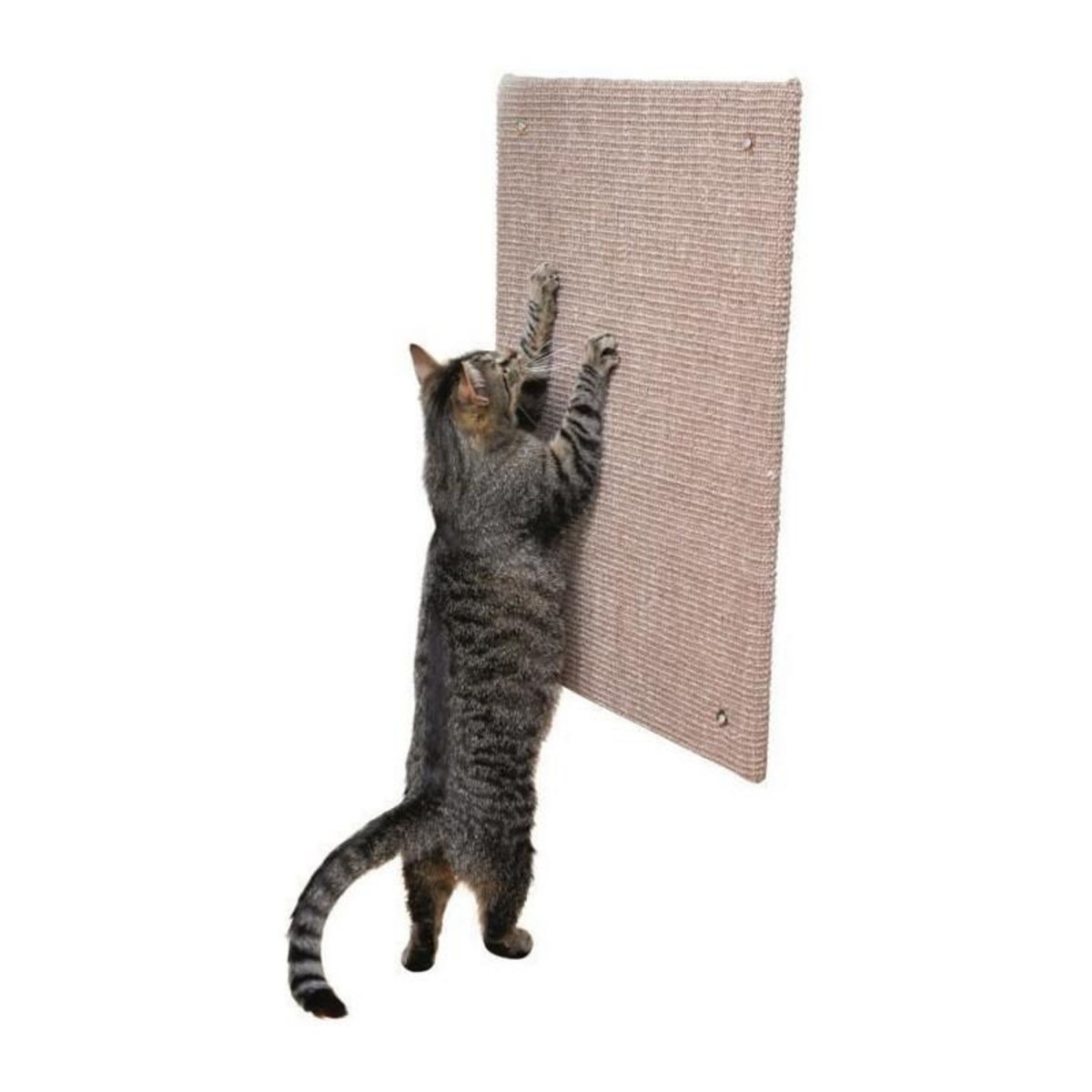 Trixie TRIXIE Griffoir XXL - Tapis en sisal / Catnip - 50 x 70 cm - Taupe - Pour chat