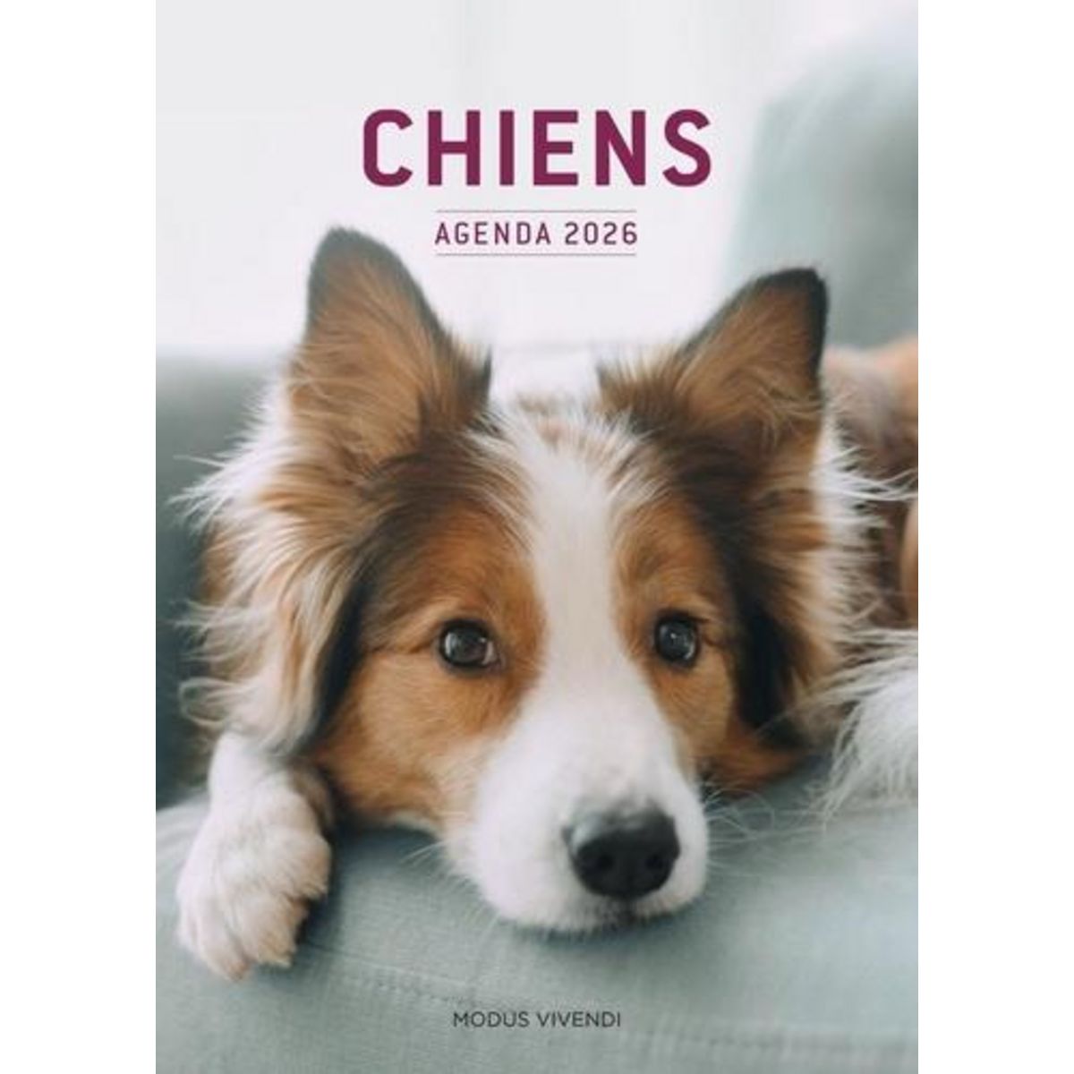 CHIENS. AGENDA, EDITION 2026, Modus Vivendi