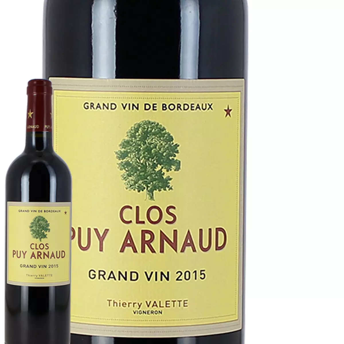 Chateaux Clos Puy Arnaud Castillon cotes de Bordeaux rouge 2015 75cl