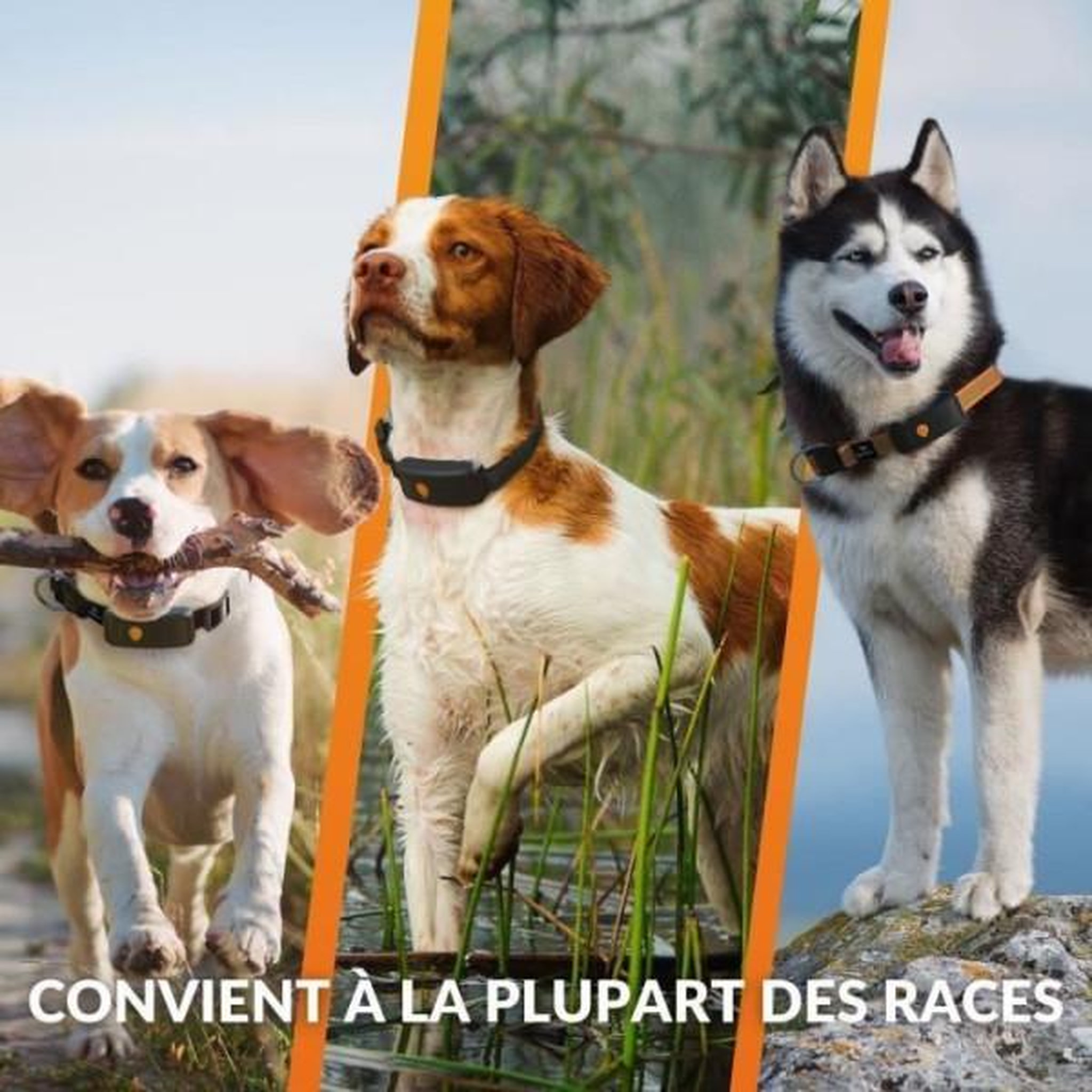 Voir la diapositive 6 : WEENECT Collier gps pour chien - weenect chien xt - antenne xl - etanche - collier julius-k9 - fonctionne avec abonnement - noir