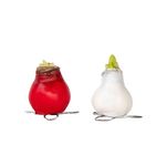 PLANT IN A BOX Amaryllis - Hippeastrum 'Wax Mix Red White' - Bulbe de fleur - Rouge