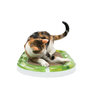 Voir la diapositive 2 : MARKET24 CAT IT Griffoir ovale Senses 2.0 - Pour chat 24,4cm x 48,8cm x 3,5cm