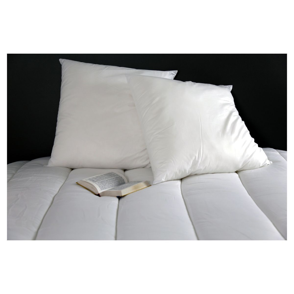 DODO Lot de 2 oreillers confort souple anti acariens 