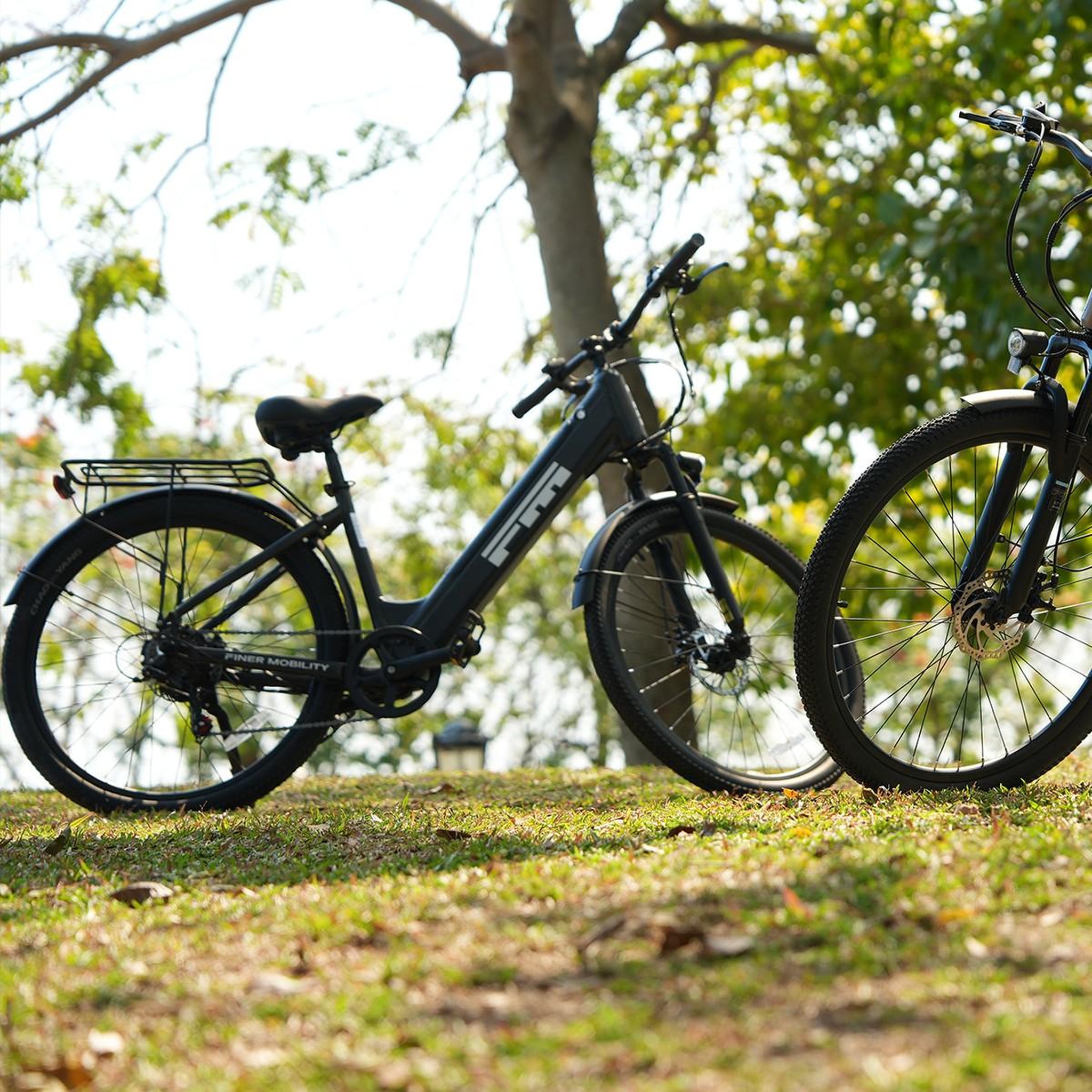 Voir la diapositive 3 : FM Vélo électrique fm m2 à cadre ouvert