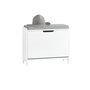 Voir la diapositive 1 : SOBUY SoBuy - Banc de rangement à chaussures avec une porte - Moderne - FSR151-K