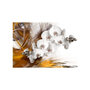 Voir la diapositive 2 : Paris Prix Papier Peint  Orchid on Fire