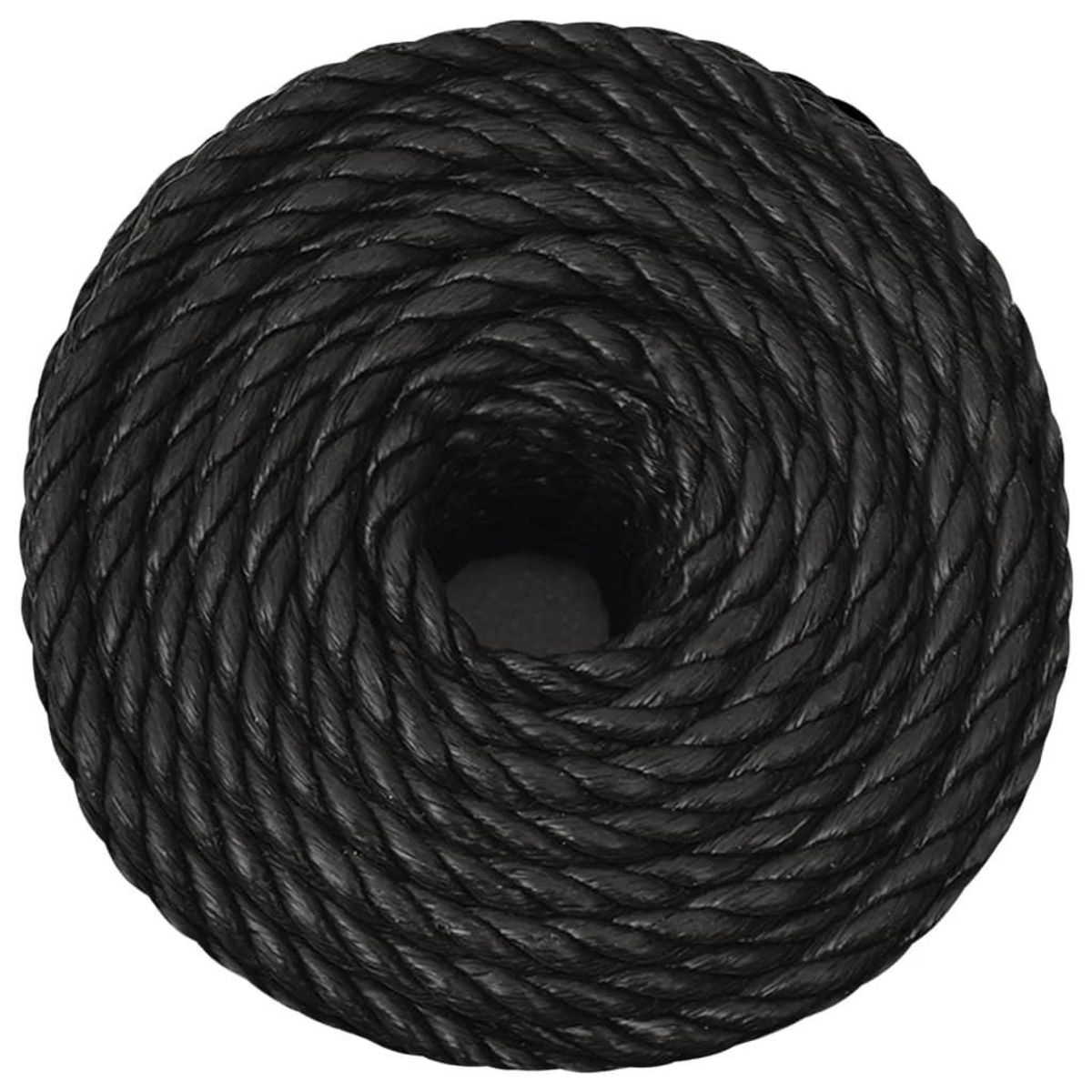 VIDAXL Corde de travail Noir 12 mm 250 m polypropylene