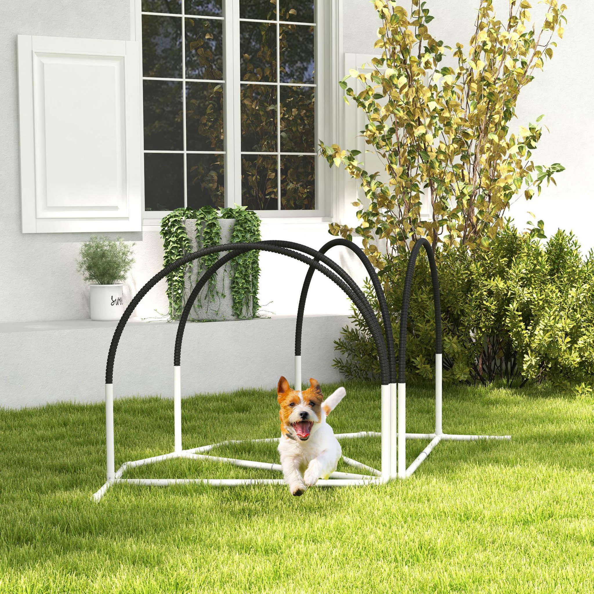 Voir la diapositive 2 : PAWHUT Kit d'agilité pour chien 4 pièces - hooper agility - arceaux entrainement, obstacle, sac de transport inclus - noir