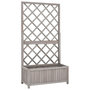 Voir la diapositive 1 : VIDAXL Jardiniere a treillis de jardin Gris 70x30x135 cm Bois de sapin