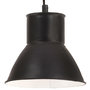 Voir la diapositive 2 : VIDAXL Lampe suspendue 25 W Noir Rond 17 cm E27