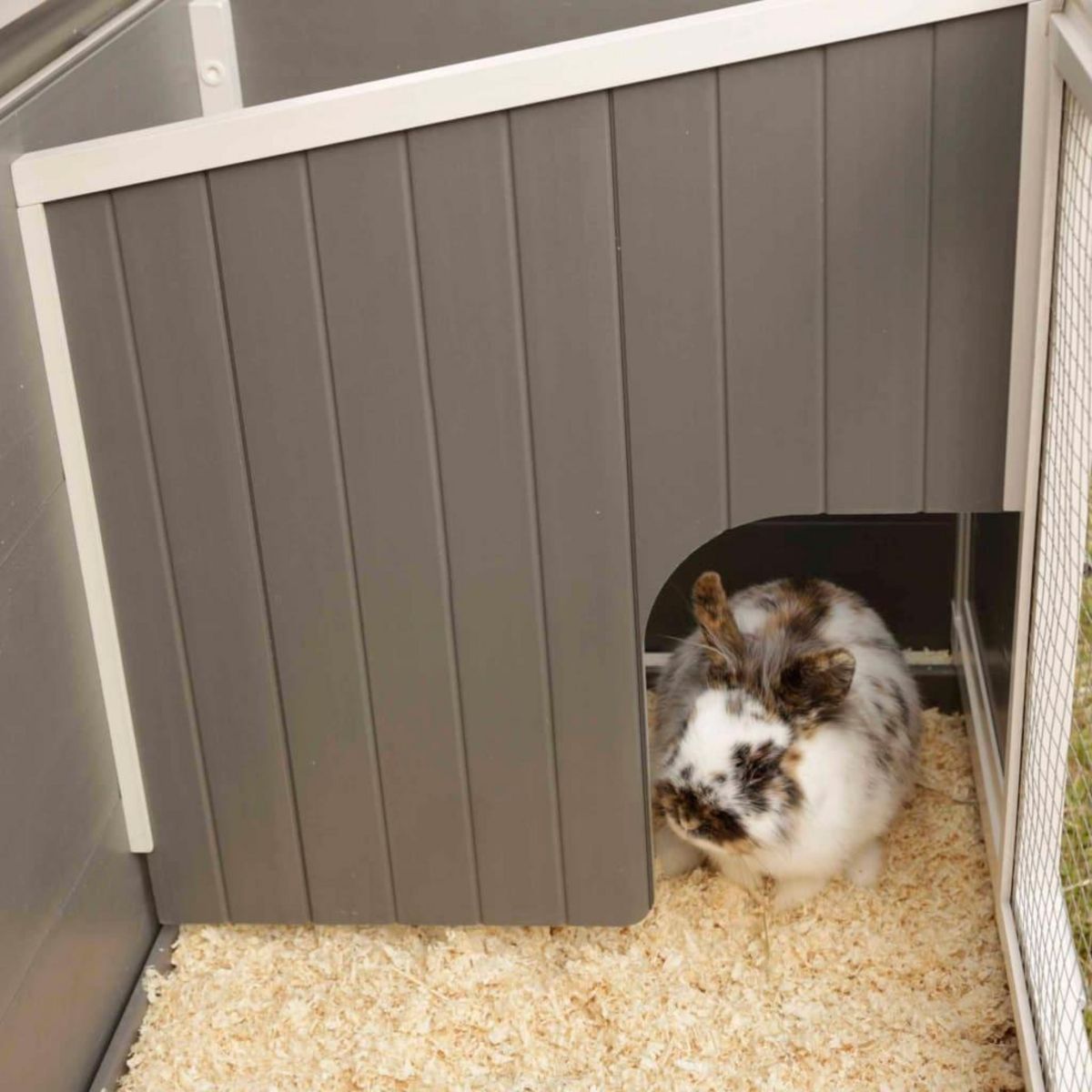 KERBL Kerbl Clapier ECO Samy Plastique 116x57x82 cm Gris et blanc