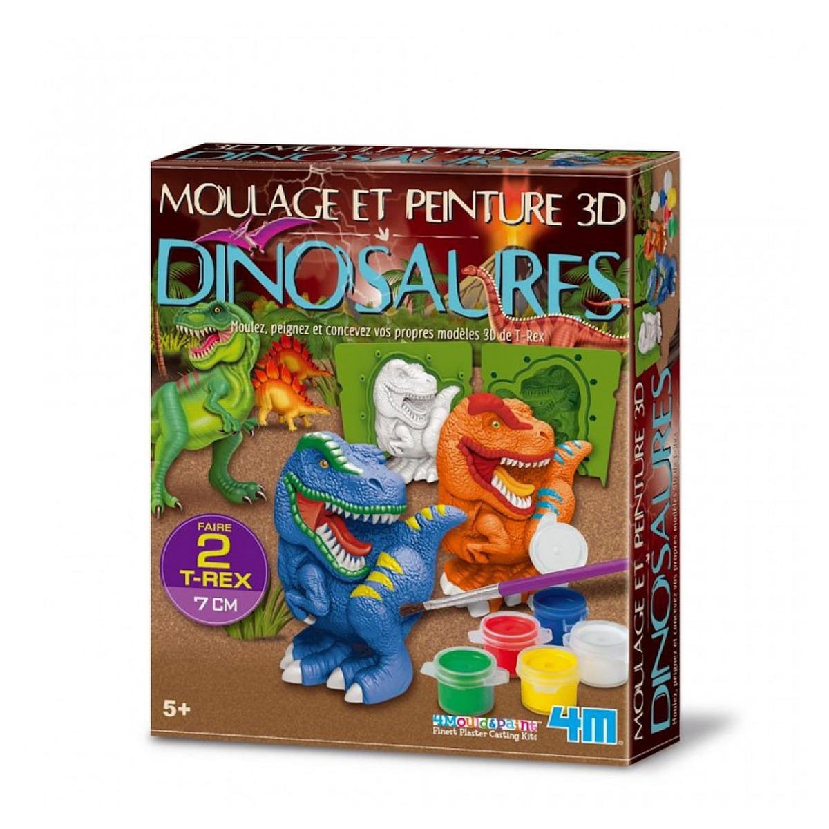 Graine créative Moulage - Kit de moulage Dinosaure 3D