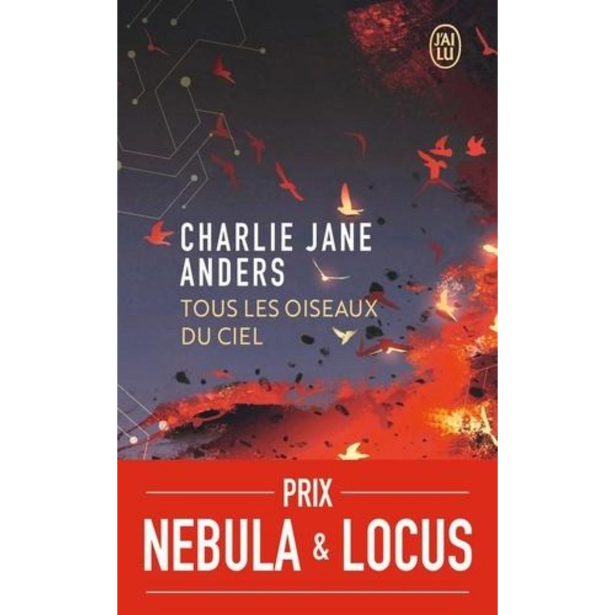 TOUS LES OISEAUX DU CIEL, Anders Charlie Jane